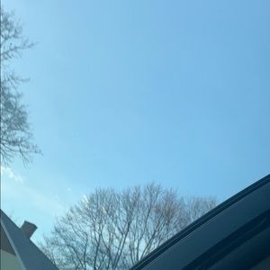 Meet your Posher, Molly